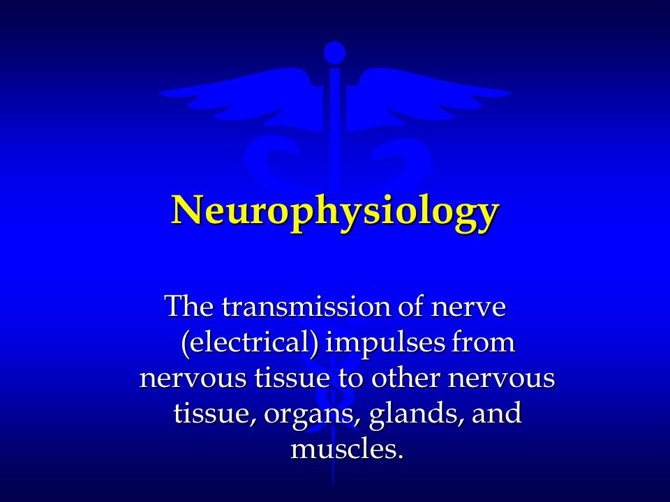 Neurophysiology of nerve impulses 2 essay